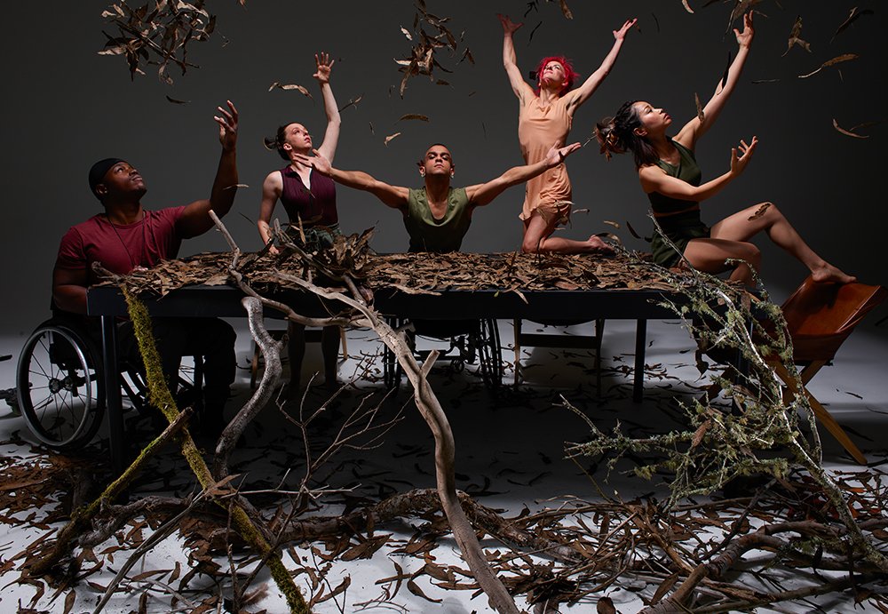 A posed shot of a group of disabled and non-disabled dancers around a table, covered in expansive tree roots.