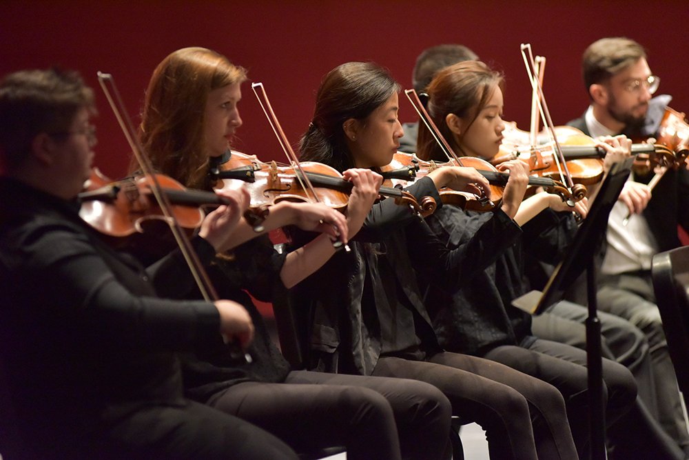 A close-up shot of the violin section mid-bow